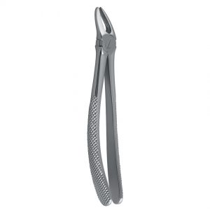 Dental Forceps English Pattern