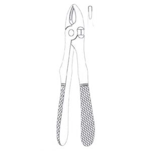 Dental Forceps for Children - English Pattern