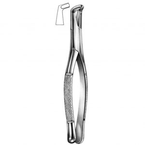 Dental Forceps American Pattern